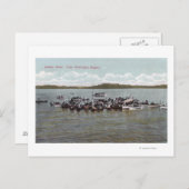 Lake Washington Regatta Scene Briefkaart (Voorkant / Achterkant)