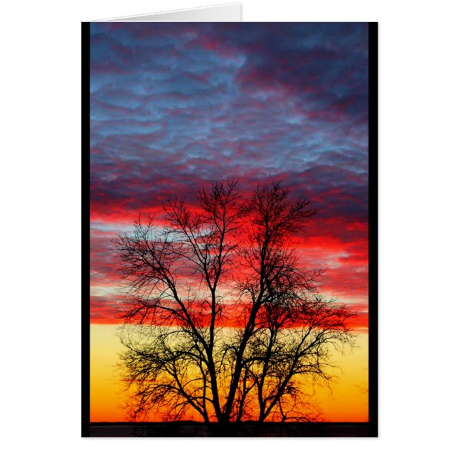 Lake Winnebago American Flag Sunset (Voorkant)