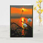 Lake Winnebago Sunset Toute carte d'occasion (Fleur jaune)