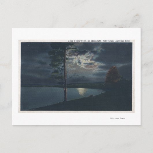 Lake Yellowstone, WYView of Lake by Moonlight Briefkaart (Voorkant)