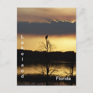 Lakeland Florida Sunset 139 Briefkaart