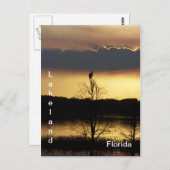Lakeland Floride Sunset 139 Carte postale (Devant / Derrière)