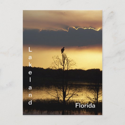 Lakeland Floride Sunset 139 Carte postale (Devant)