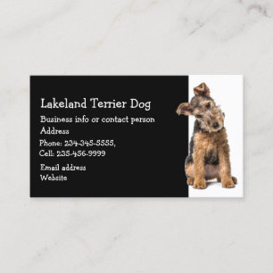 Lakeland Terrier Dog Breeder Pet Sitter Visitekaartje