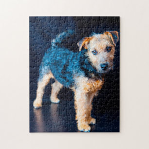 Lakeland Terrier hond. Legpuzzel