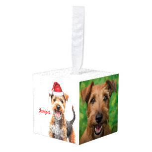 Lakeland Terrier Hond Twee Foto Kerstvakantie Kubus Ornament