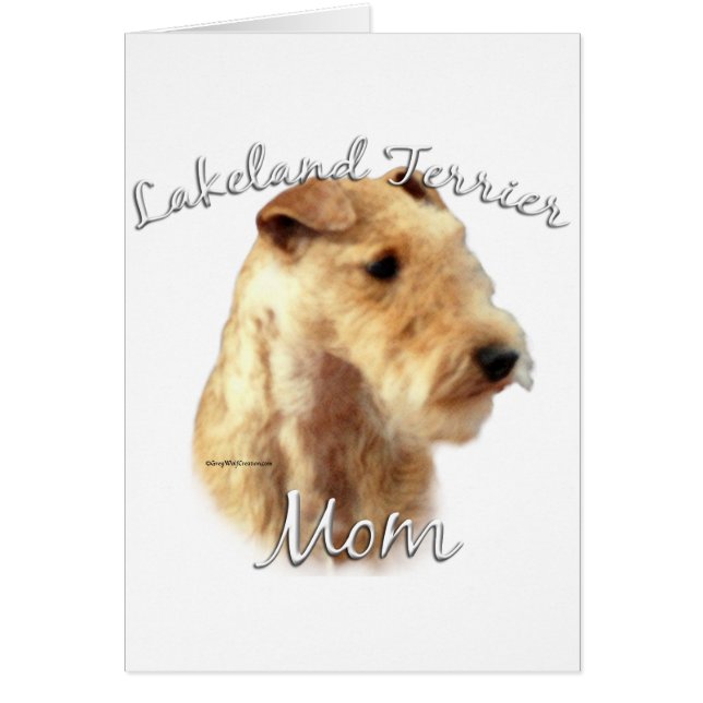 Lakeland Terrier Maman 2 (Devant)