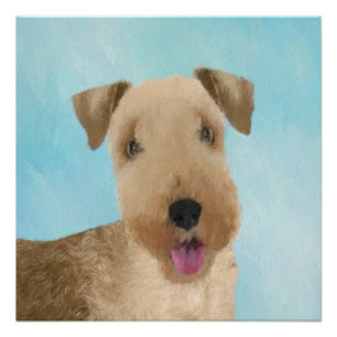 Lakeland Terrier Painting - Cute Original Dog Art Perfect Poster