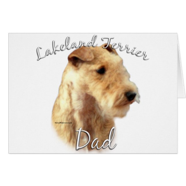 Lakeland Terrier Papa 2 (Devant horizontal)