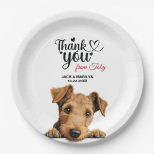Lakeland Terrier Papieren Bordje