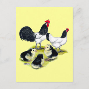 Lakenvelder Kippenfamilie Briefkaart