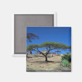 Lakeside scene bij Lake Langano, Ethiopië Magneet (Voorkant / Achterkant)