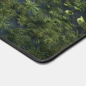 Lakeside (Shallows) (Coin)