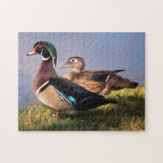 Lakeside, Wood Duck Legpuzzel (Horizontaal)