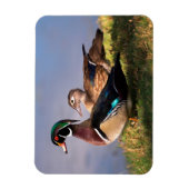 Lakeside, Wood Duck Magneet (Verticaal)