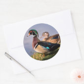 Lakeside, Wood Duck Ronde Sticker (Envelop)