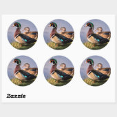 Lakeside, Wood Duck Ronde Sticker (Vel)