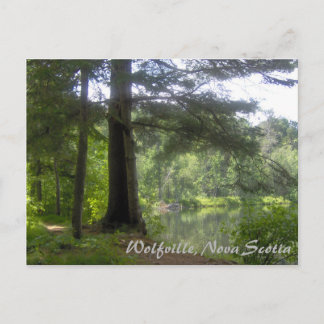 Lakeside Woodland Briefkaart