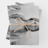 Lakota leider Sitting Bull Indiaanse Indiaan Inpakpapier Vel (In situ)