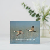 Lakw Riverside Estates, carte postale CA (Debout devant)