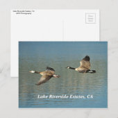 Lakw Riverside Estates, carte postale CA (Devant / Derrière)