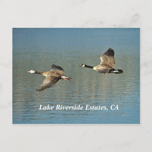 Lakw Riverside Estates, carte postale CA (Devant)