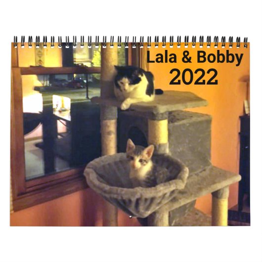 Lala & Bobby 2022 Personalized Cats Calendar Kalender (Hoes)