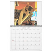 Lala & Bobby 2022 Personalized Cats Calendar Kalender (Mar 2027)