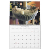 Lala & Bobby 2022 Personalized Cats Calendar Kalender (Jan 2027)