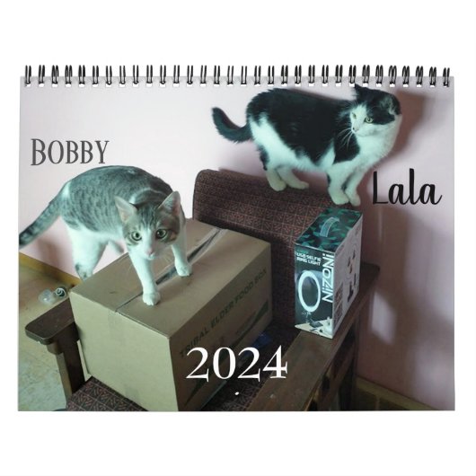 Lala & Bobby Calendrier Personnalisé Chat 2024 (Protection)