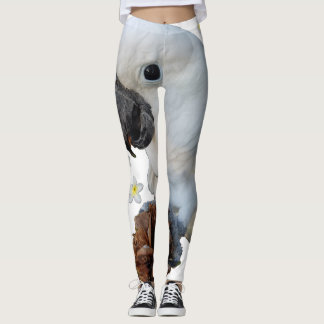 Lala De Kaketoe met Pine Cone en Plumeria Leggings