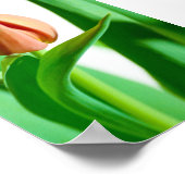 lala Impression de tulipe (Coin)