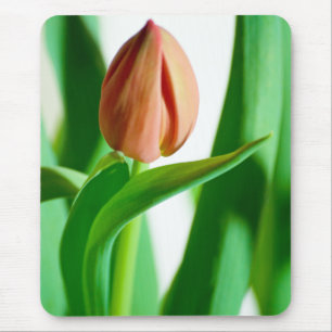 lala Tulip Mousepad Muismat