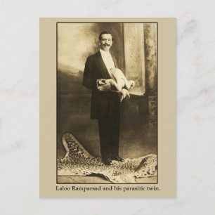 Laloo, de Happy Hindoo met een parasitische twein Briefkaart