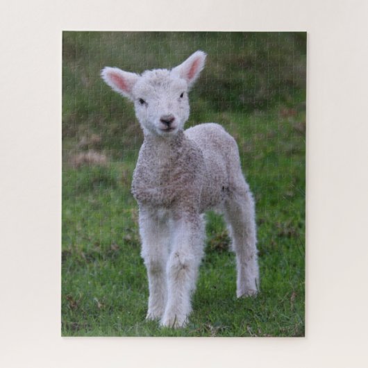 Lam Baby Schaap Boerderij Dier Legpuzzel (Verticaal)