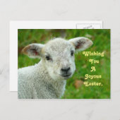 lam feestdagenkaart (Voorkant / Achterkant)