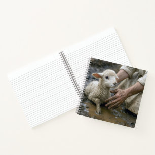 Lam Gered Door Een Herder Notitieboek