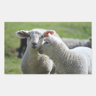 lam rechthoekige sticker