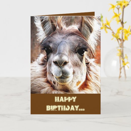 Lama Kaart (Gele Bloem)