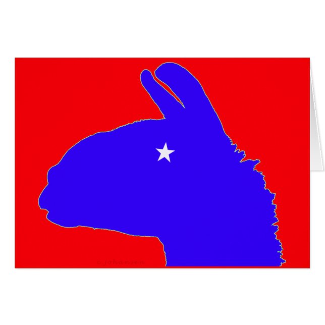 Lama : le lama lonestar du Texas (Devant horizontal)