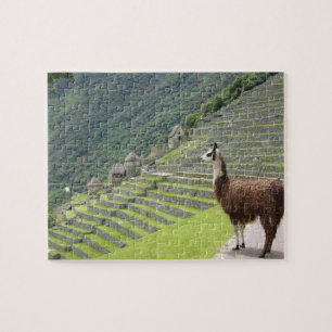 lama legpuzzel