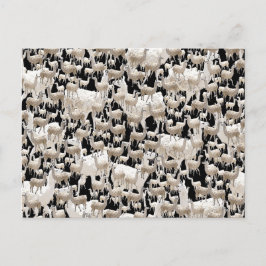 Lama, Llama Briefkaart