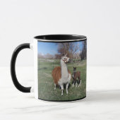 Lama Mama en Llama Baby Mok (Links)