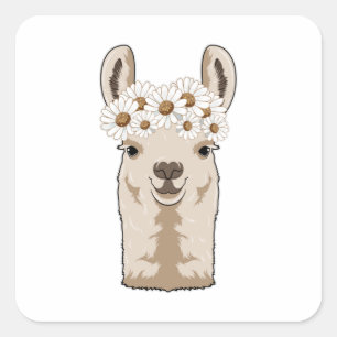Lama met witte bloesems vierkante sticker