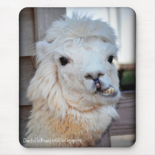 Lama Mousepad Muismat (Voorkant)