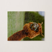 Lama Puzzel (Horizontaal)