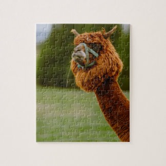Lama Puzzel