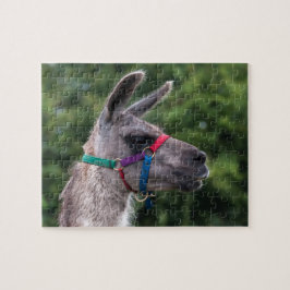 Lama Superioriteit Legpuzzel
