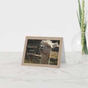 lama Verjaardagskaart Kaart