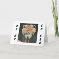 **LAMA WIL DAT JE "SNEL BETER WORDT!"